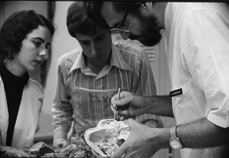 Students looking at human skull