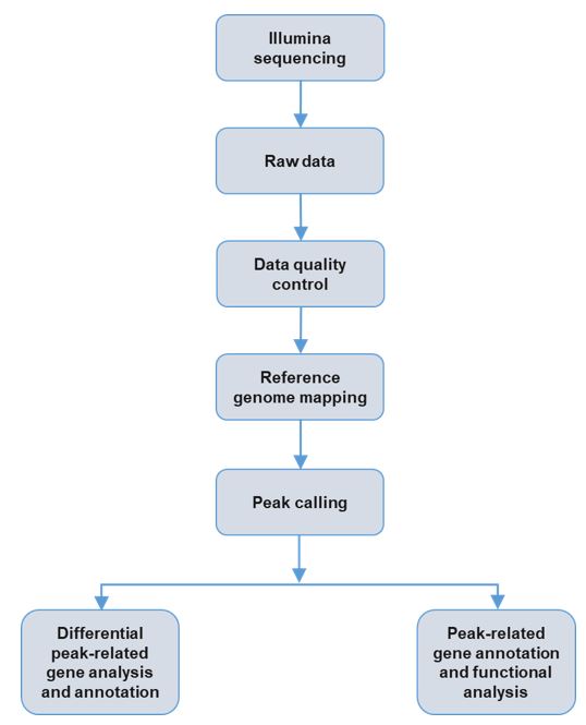 AnalysisPipeline-chIP diagram