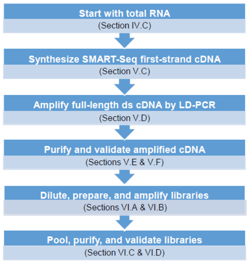 Service Workflow Photo of Ultra Low Inpurt MRNA Sequence Service Workflow Diagram
