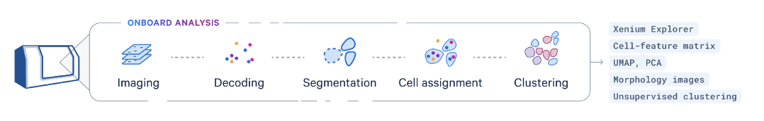 Onboard analysis pipeline diagram showing data processing stages for Xenium spatial transcriptomics, from image alignment to gene expression output