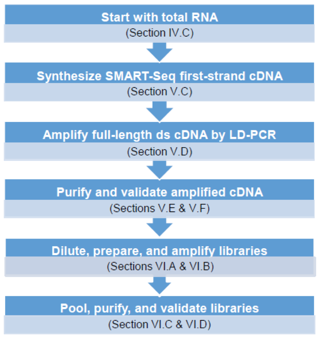 Workflow diagram for ultra-low input mRNA-Seq service, depicting steps from RNA extraction and reverse transcription to amplification, library prep, and sequencing.