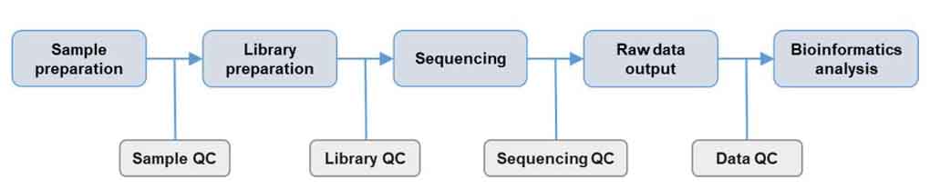 Whole Exome Sequencing service workflow diagram showing steps from DNA extraction to data analysis.