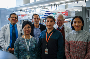 Recent research from the labs of Mikhail Kolonin, PhD, and Absalon Gutierrez, MD, has been published in Cell Reports Medicine. (Photo by Danny Palomba/UTHealth Houston)