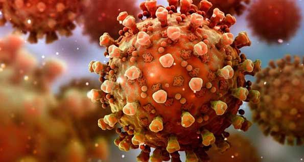 close-up image of coronavirus particles