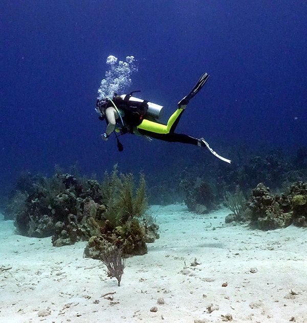 Photo of Caroline Wolbrecht diving in Roatan, Honduras. Thanks to her doctor from UTHealth and UT Physicians, Caroline Wolbrecht can once again go scuba diving without worrying about side effects from her PFO. (Photo courtesy of Caroline Wolbrecht)