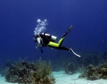 Photo of Caroline Wolbrecht diving in Roatan, Honduras. Thanks to her doctor from UTHealth and UT Physicians, Caroline Wolbrecht can once again go scuba diving without worrying about side effects from her PFO. (Photo courtesy of Caroline Wolbrecht)