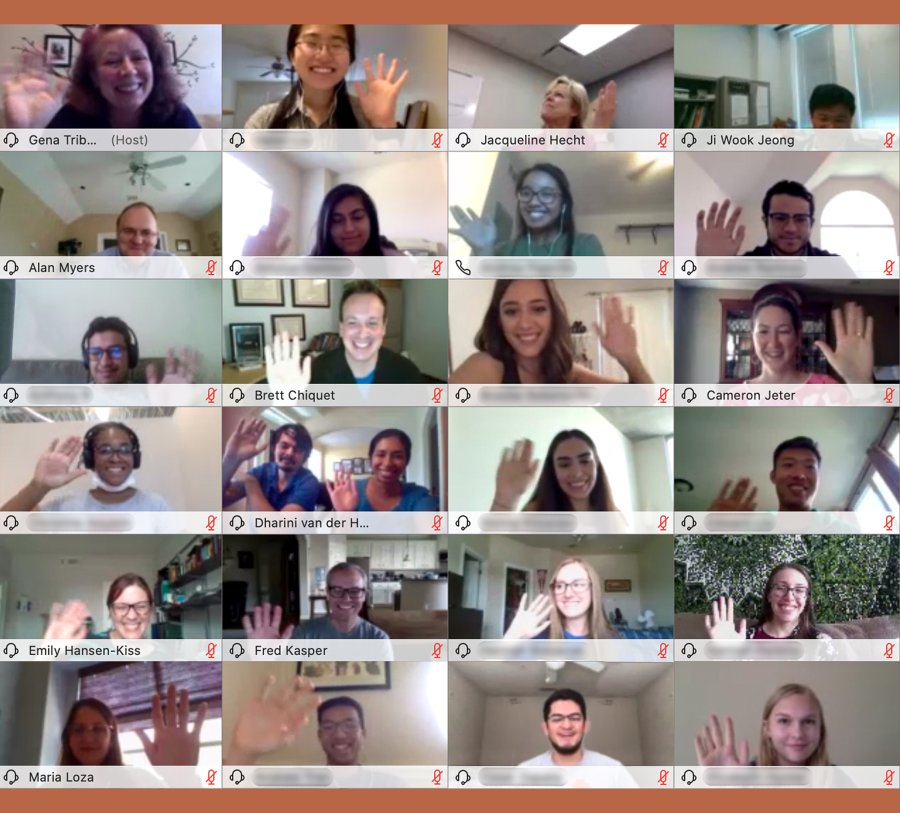 From the safety of their homes, students, and faculty mentors routinely met via Cisco Webex.