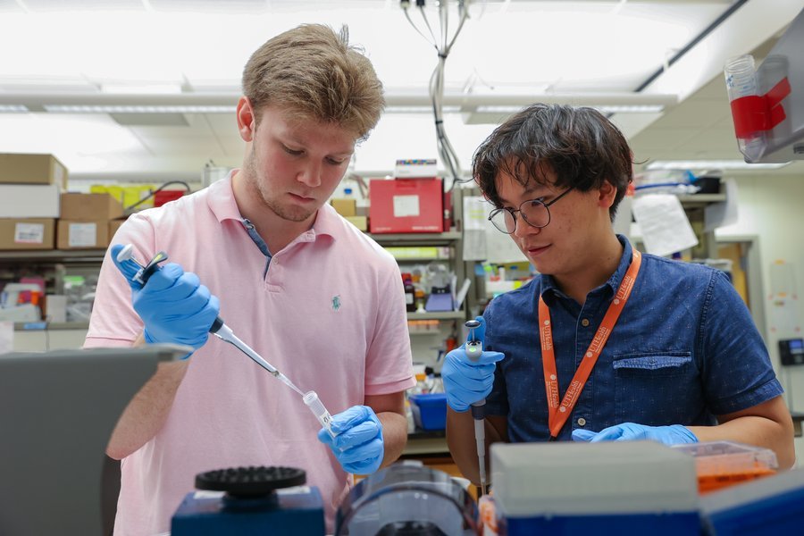 Summer research program participants Jack Monday, left, and Nicholas Lam, right, work together in the BRAINS Lab at McGovern Medical School under the direction of Louise McCullough (Photo by Rogelio Castro/UTHealth Houston)