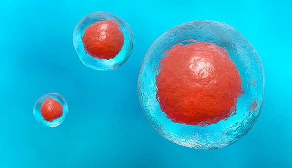 Photo of stem cells. By Getty Images