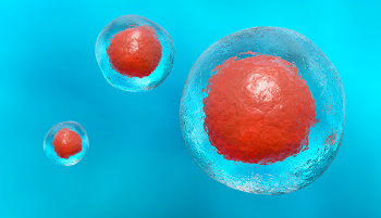 Photo of stem cells. By Getty Images
