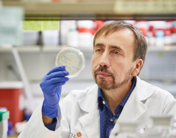 A team led by Claudio Soto, PhD, performed a series of whole blood exchange treatments to partially replace blood from mice with Alzheimer’s disease-causing amyloids in their brains with blood from healthy mice. (Photo by UTHealth Houston)