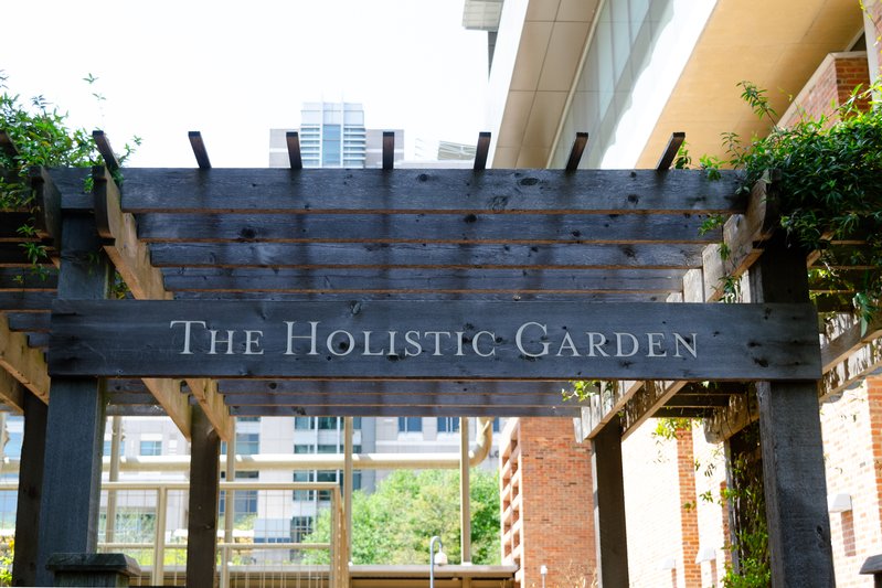 Holistic Garden at the UTHealth School of Public Health
