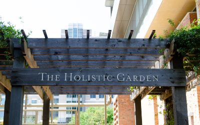 Holistic Garden at the UTHealth School of Public Health