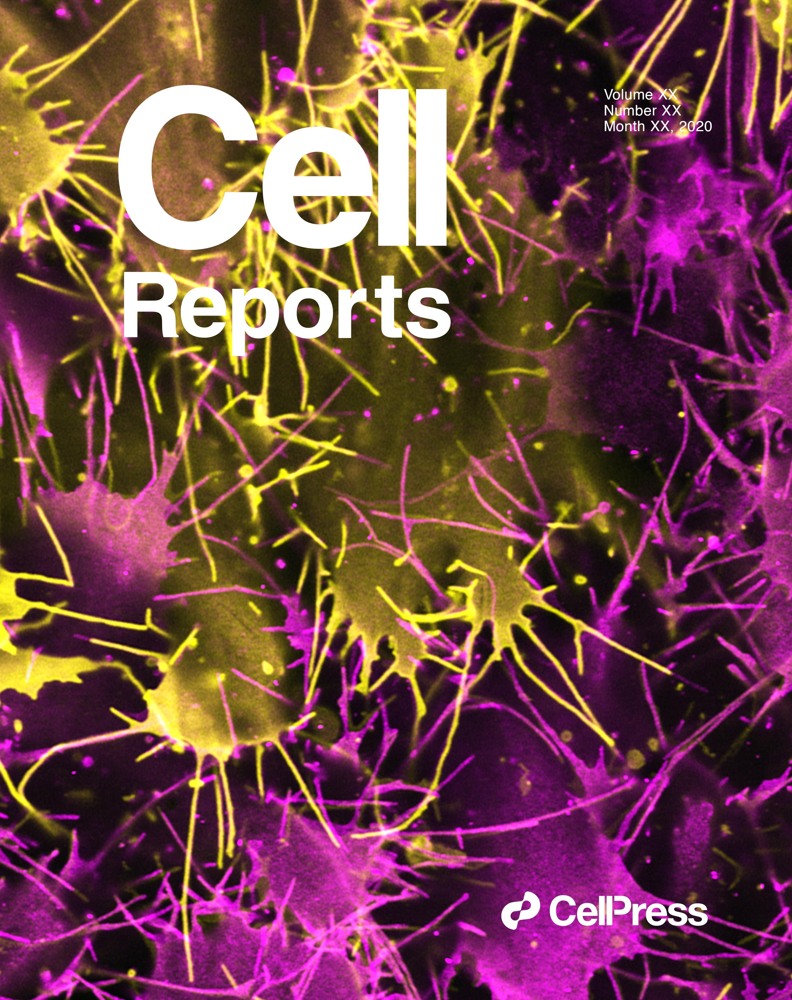 Work by GSBS alumna Vanja Krneta-Stankic, PhD, published on cover