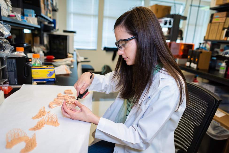 Pre-pandemic, dental student Jennifer Siller removes 3D-printed models from supporting structures during 2018’s summer research program. Photo by Brian Schnupp.