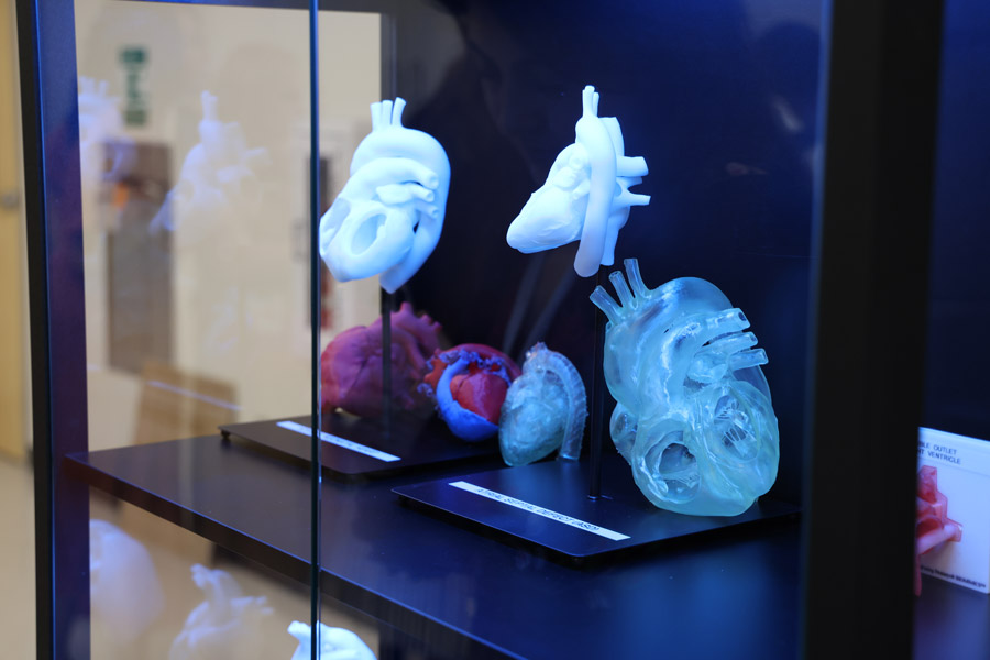 Researchers at the center are actively involved in a number of projects centered on bioengineering and 3D bioprinting to better understand and treat complex cardiovascular conditions. (Photo by UTHealth Houston)