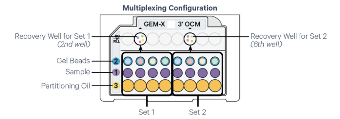 Ocm-multiplexing.png