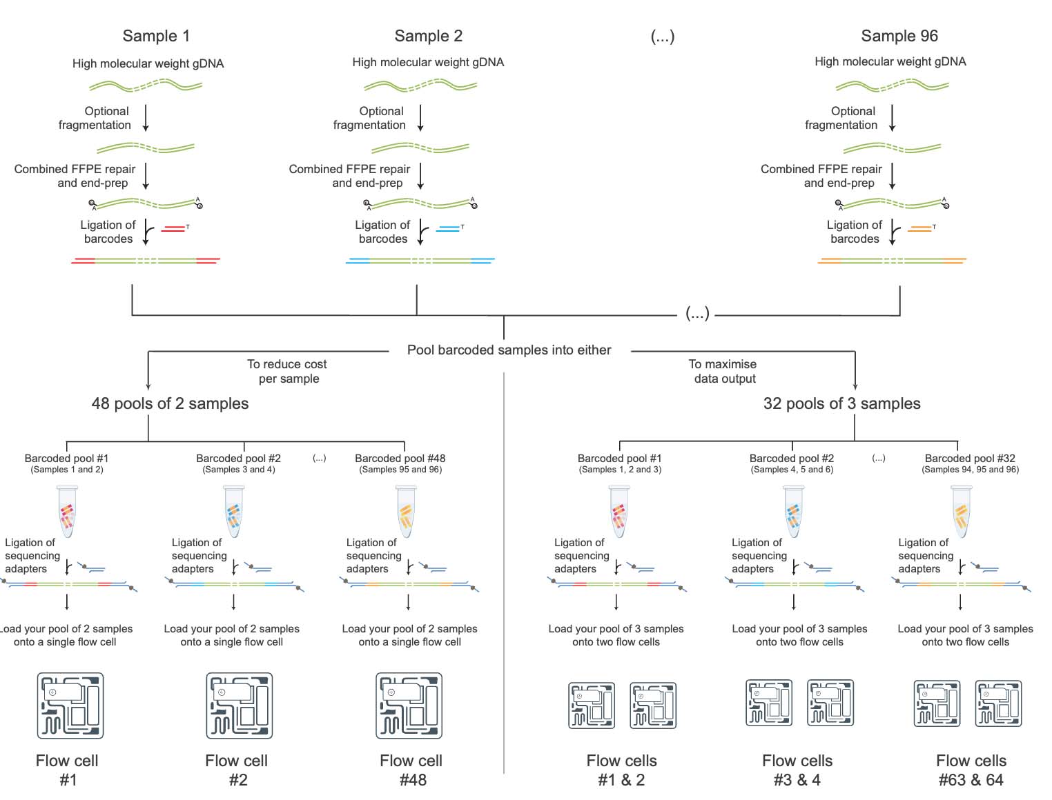 Multiplexing-service-workflow-diagram-direct-dns-sequencing-wgs.jpg