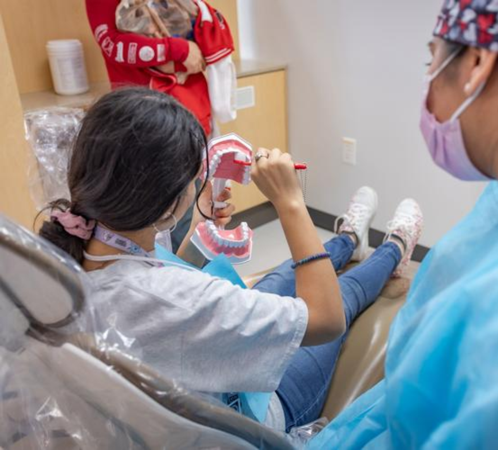 Give Kids A Smile patient practices proper oral hygiene on dental teeth model.