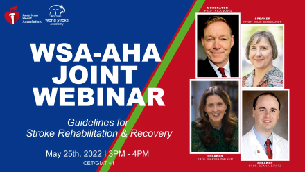 Dr. Sean Savitz to speak at WSA-AHA-Joint-Webinar: Guidelines for Stroke Rehabilitation & Recovery