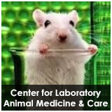 Center for Laboratory Animal Medicine