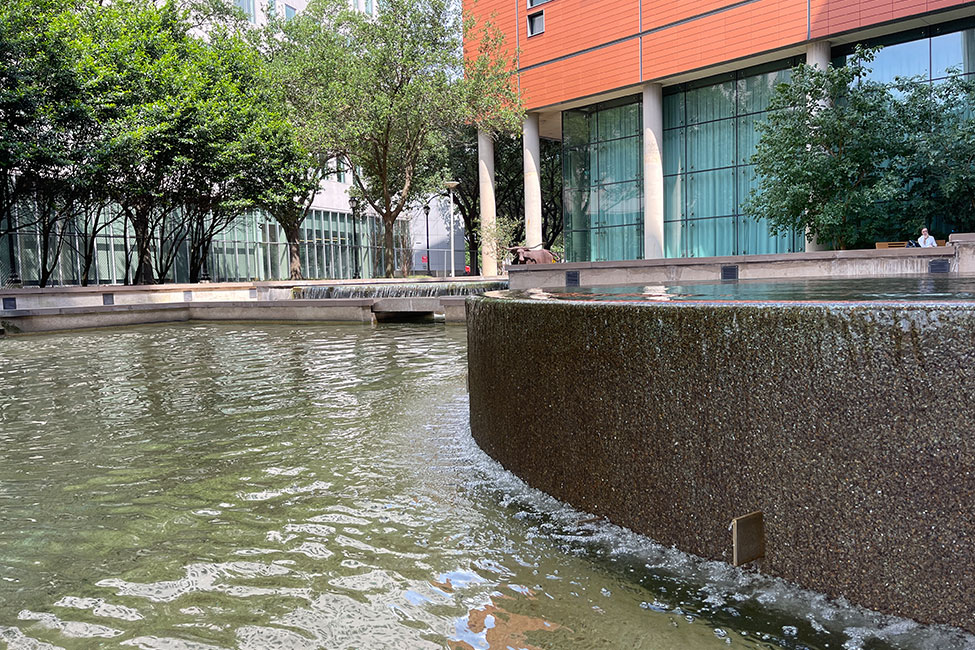 (Photo by Angela Douglas/UTHealth Houston)