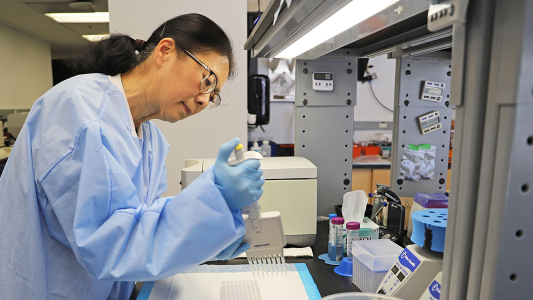 Researcher in lab coat and blue gloves pipettes samples at a well-lit lab bench beneath a shelf of supplies.